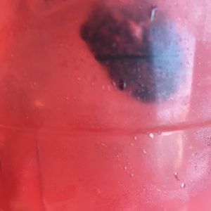 Meet your Posher, Autumn